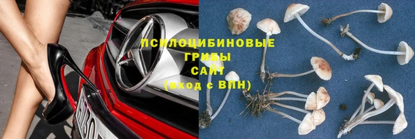 индика Абаза