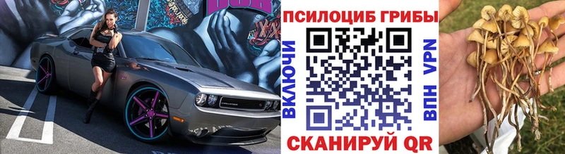 Псилоцибиновые грибы прущие грибы  наркошоп  Козловка 